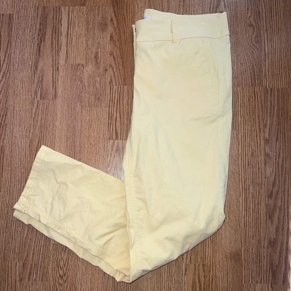 LOFT Pants